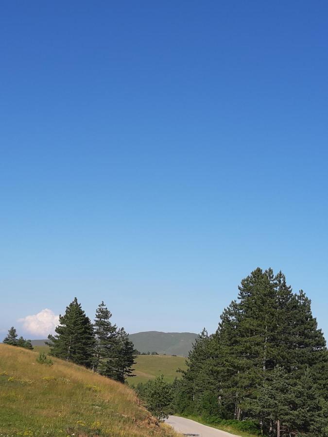 Apartman Gagi Zlatibor Luaran gambar