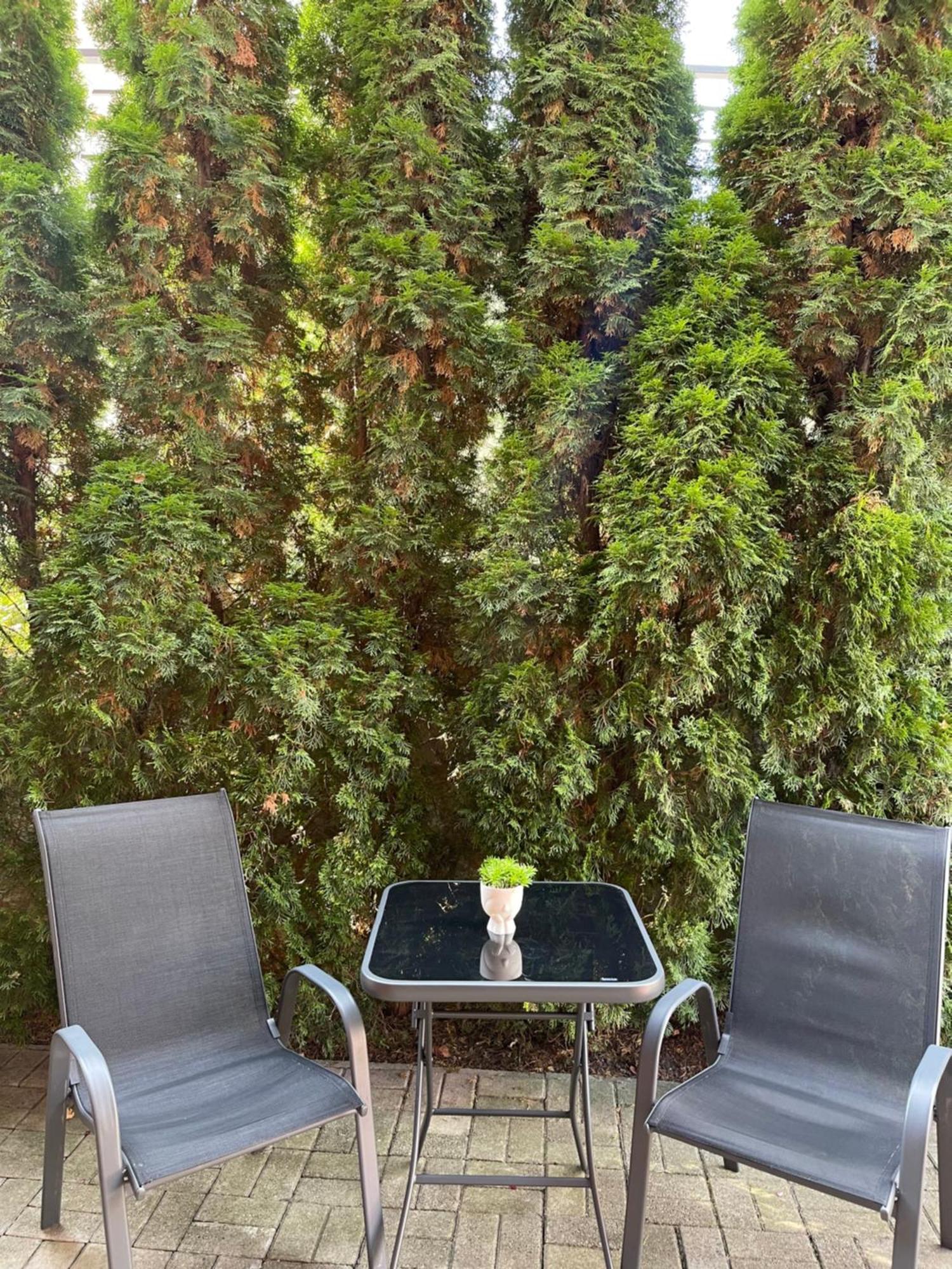 Apartman Gagi Zlatibor Luaran gambar