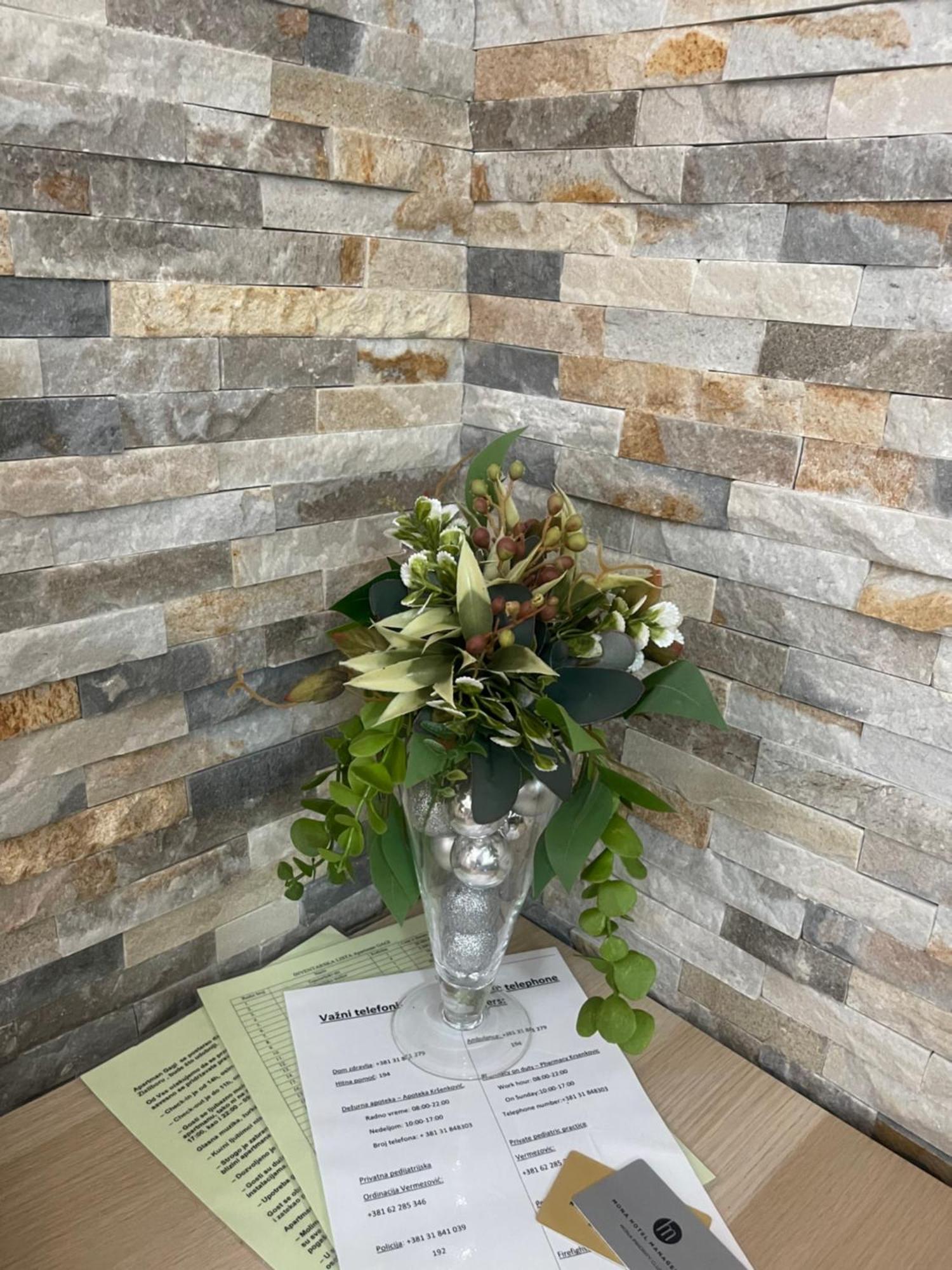 Apartman Gagi Zlatibor Luaran gambar